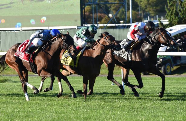 LA TIA City Place mare (rails) wins the G3 Athenia Stakes in New York