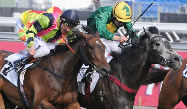 girl in flight 2nd Matriarch