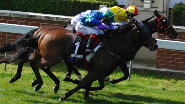 SUREASYOUWEREBORN Lucky Unicorn mare (rails) wins the Otago Cup