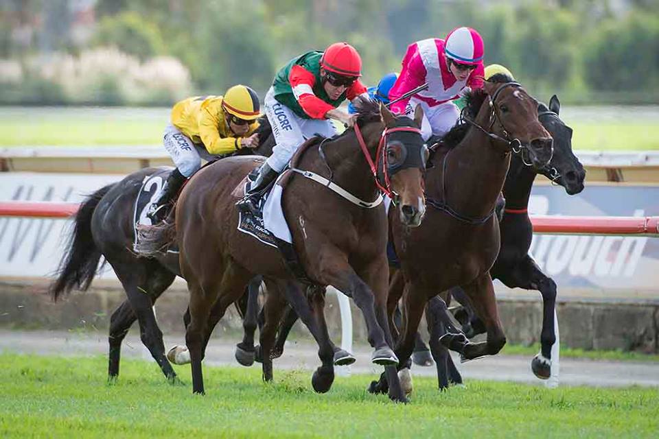 TONTOPhoto / Western Racepix