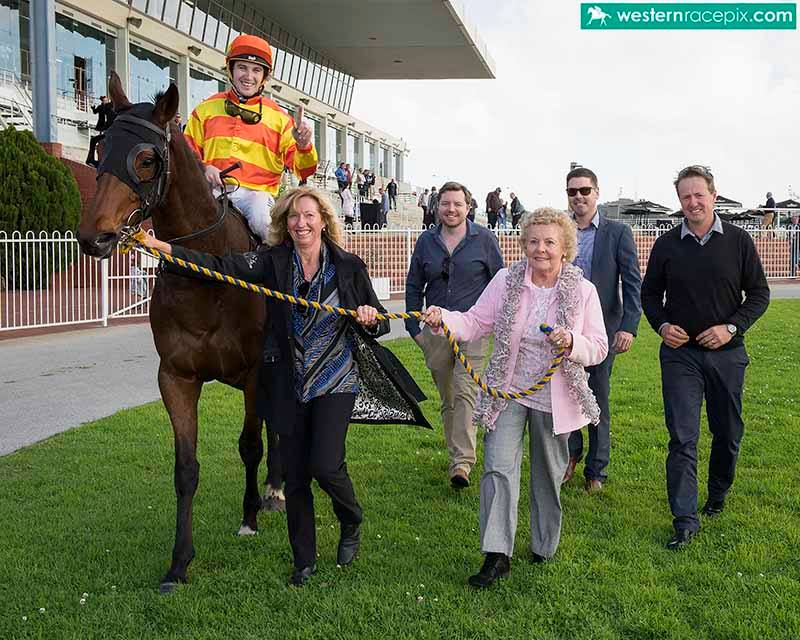BUSTER'S SHADOWSon of Oratorio returns to scale with Jenny Harrison and Shirley PiperPhoto / Western Racepix