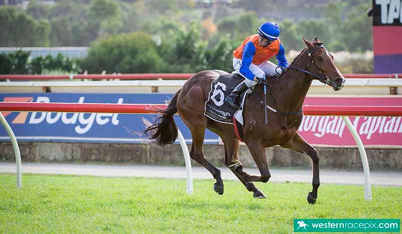 PRETENTIOUS CHANT Photo / Western Racepix