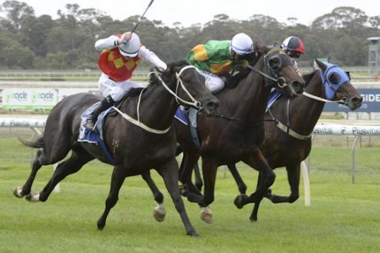 RUSHMORE Son of All American bursts down the outside to win at Bendigo