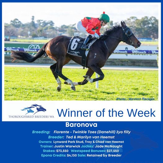 Baronova – TBWA Winner of the Week
