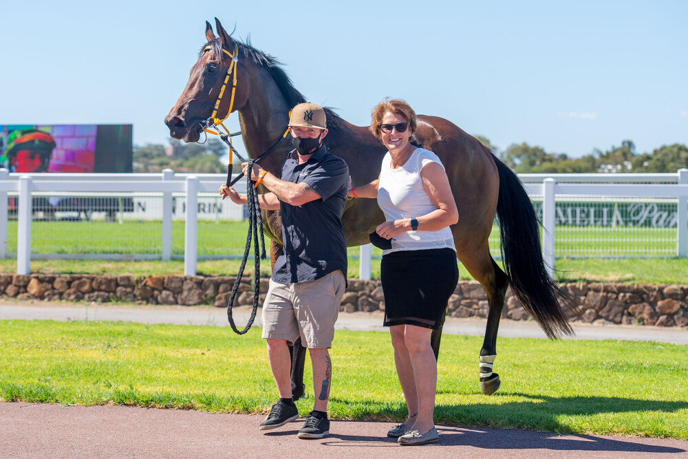 Dr Paddock heals Gold Front winner Disco Donut