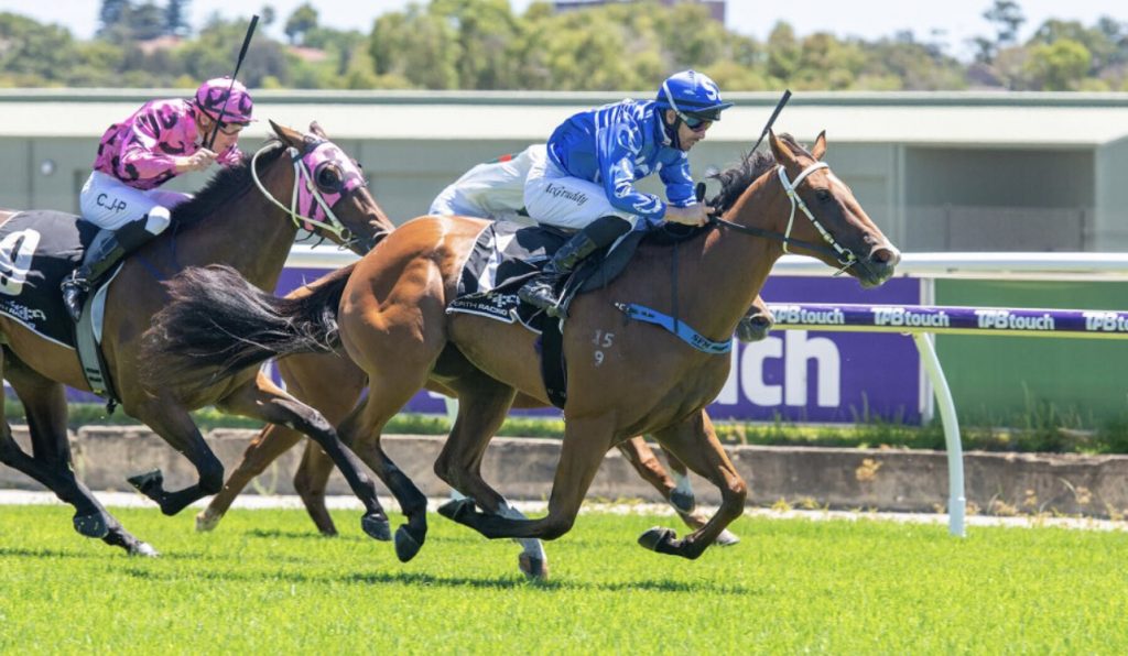 Winning View at Perth Magic Millions