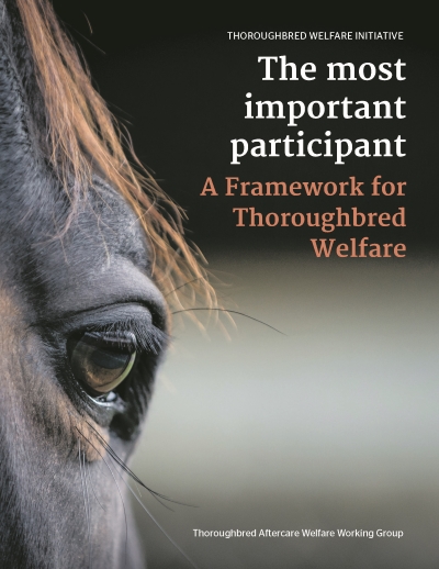 Report-Front-Cover_Resized-For-Website
