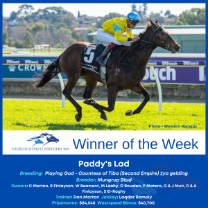 Paddy’s Lad – TBWA Winner of the Week
