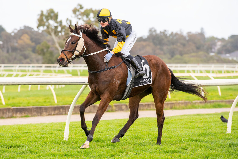 Pepper salutes for in-form Sessions