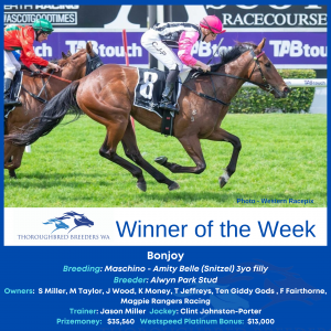 Winner of the Week – Bonjoy
