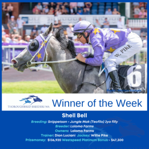 Shell Bell – Winner of the Week