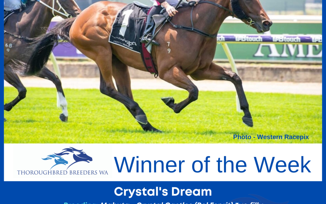 Winner of the Week – Crystal’s Dream