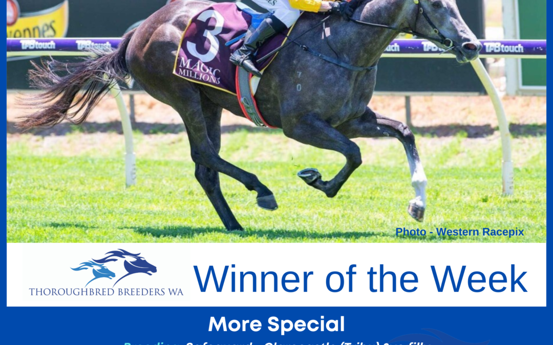 Winner of the Week – More Special
