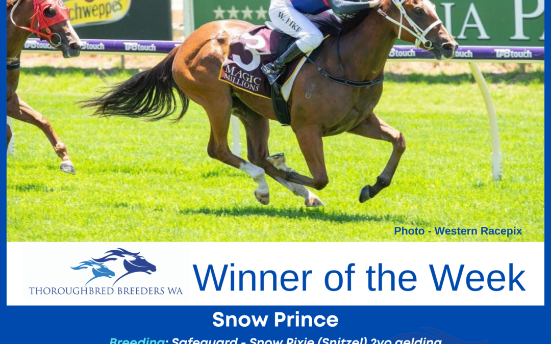 Winner of the Week – Snow Prince