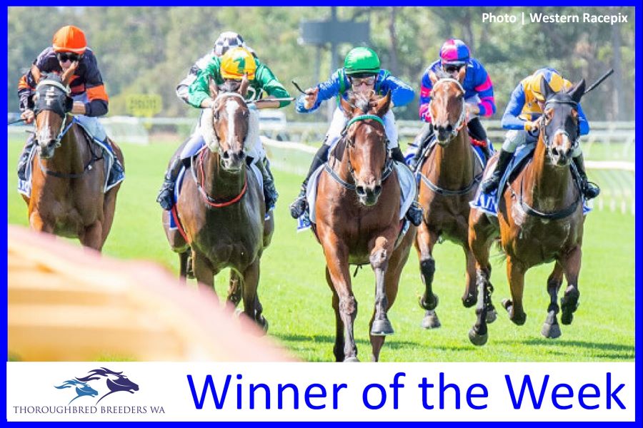 Shaka Zulu  –  TBWA Winner of the Week