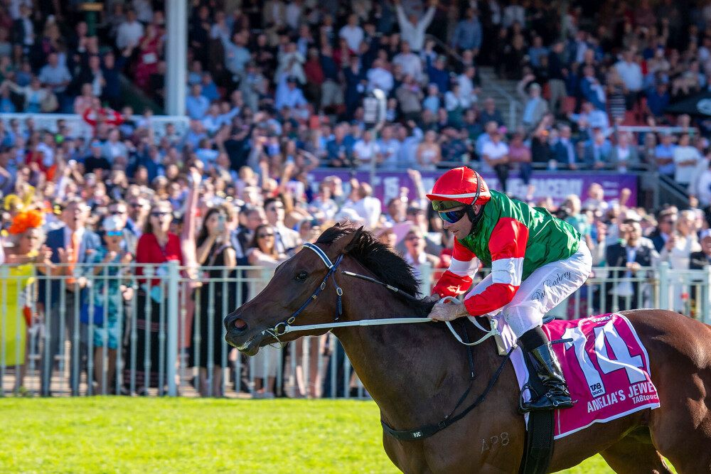 Cox Plate lure for Amelia’s Jewel