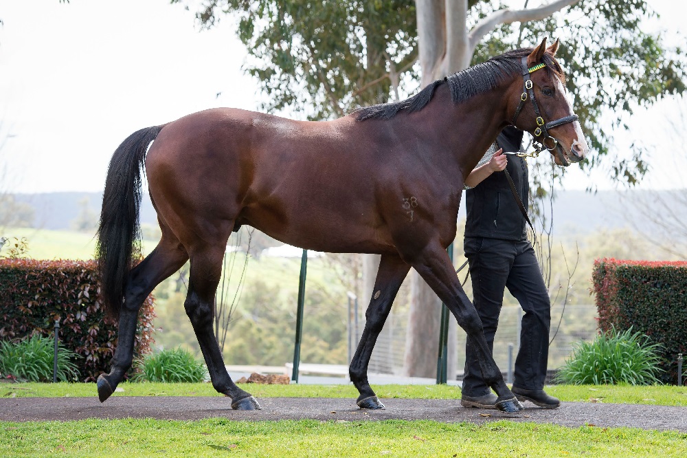 Overdue but Okay To Pay at Cranbourne