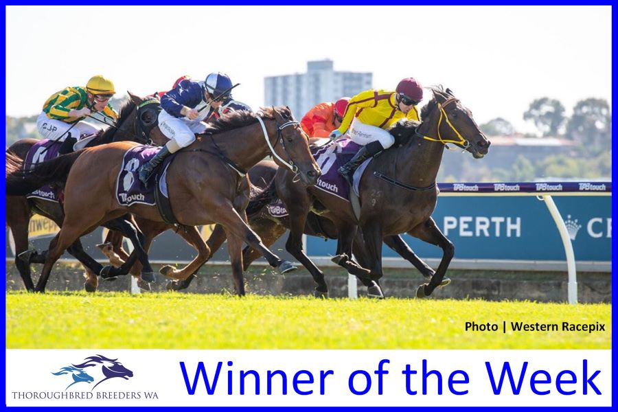 Sky Duke – TBWA Winner of the Week