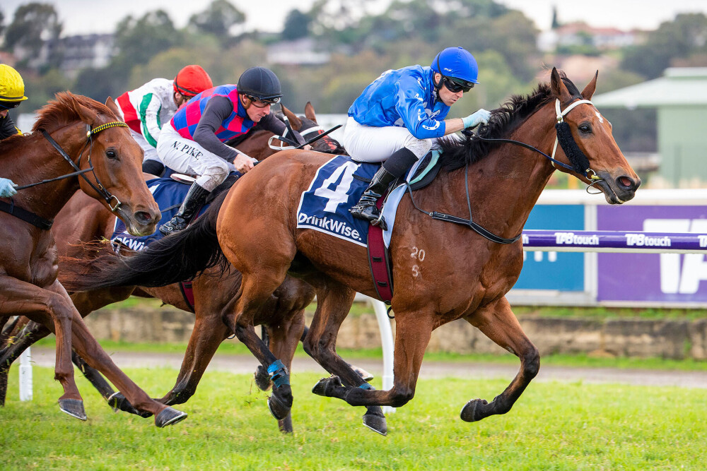 Blackfriars Stakes winner at Last