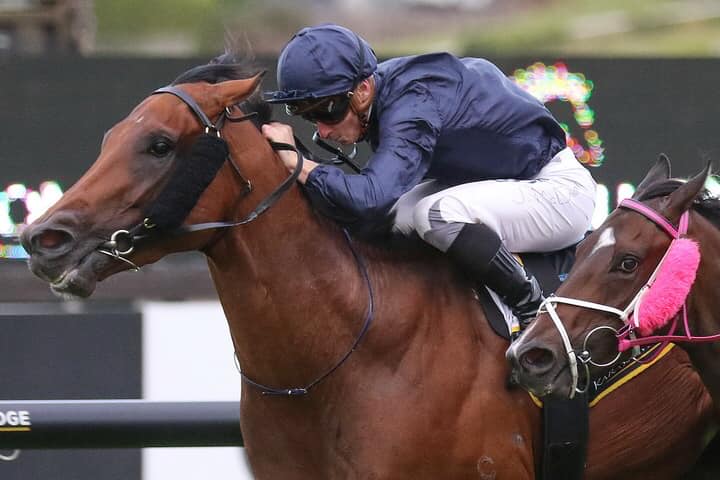 Buyers embrace Long Leaf yearlings