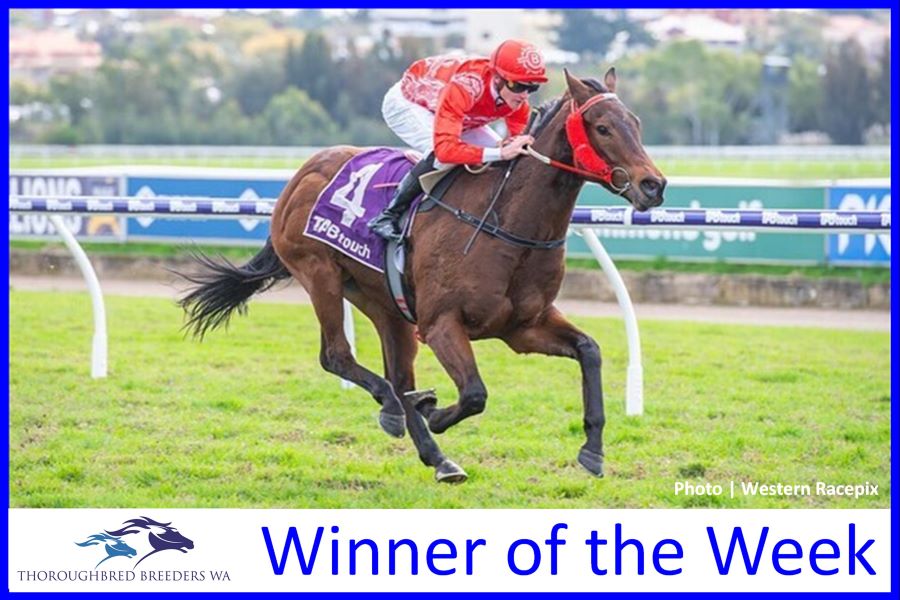 Moorditj Boy – TBWA Winner of the Week