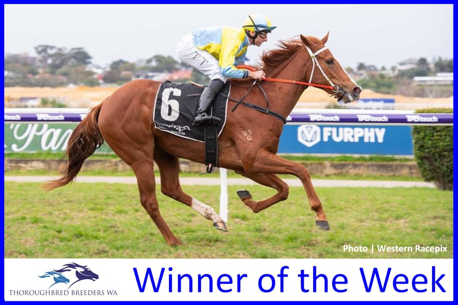 Wubin Gold – TBWA Winner of the Week