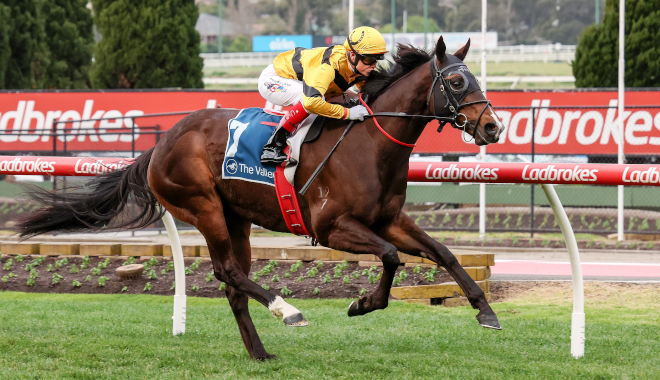 Second Melbourne Group 1 beckons Gold Front