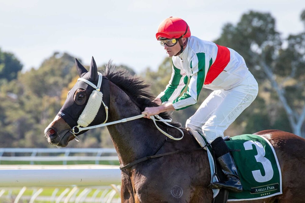 Trooping the Gangemi colours at Belmont