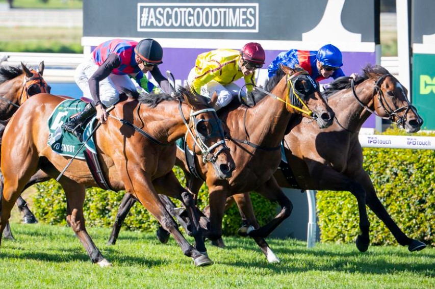 Three-way Shootout in Northerly Stakes