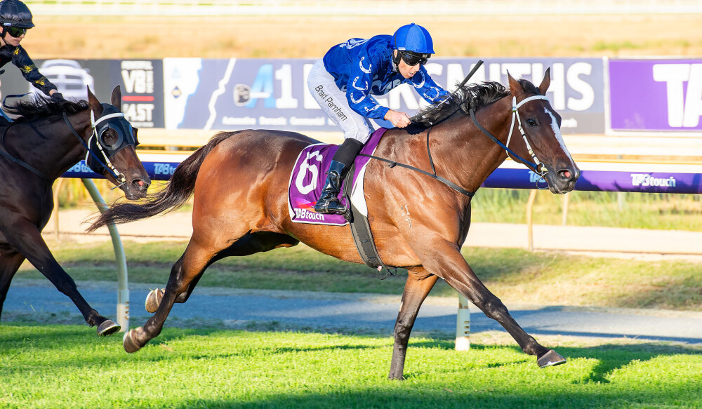 Holy reward in Pinjarra Cup on Sunday