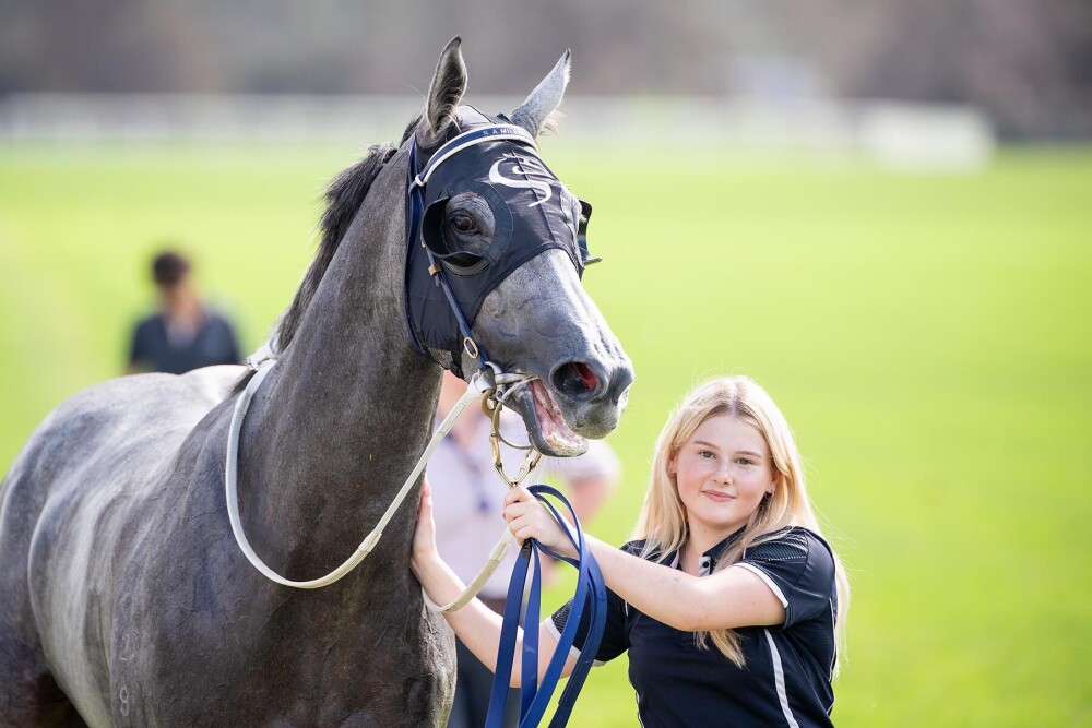 Short Way the Lucky Way home at Ascot