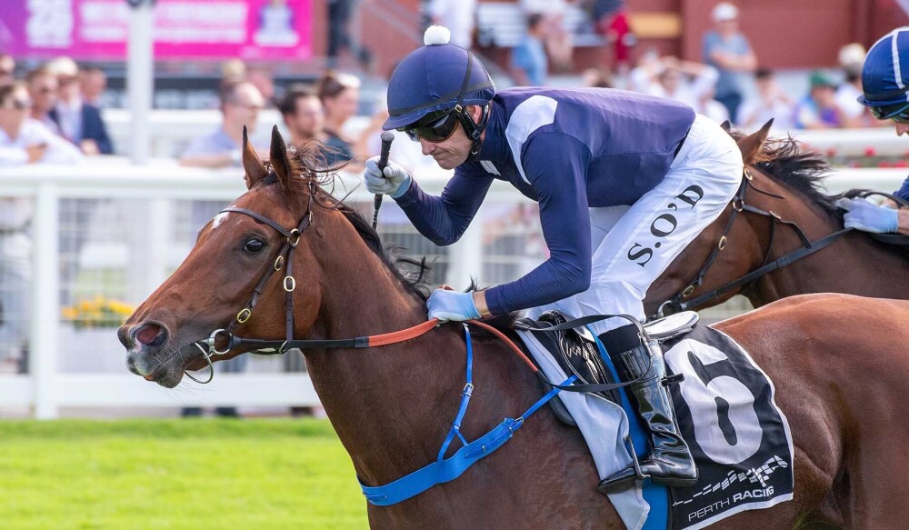 Supreme Miss spearheads 2yo fillies in Perth
