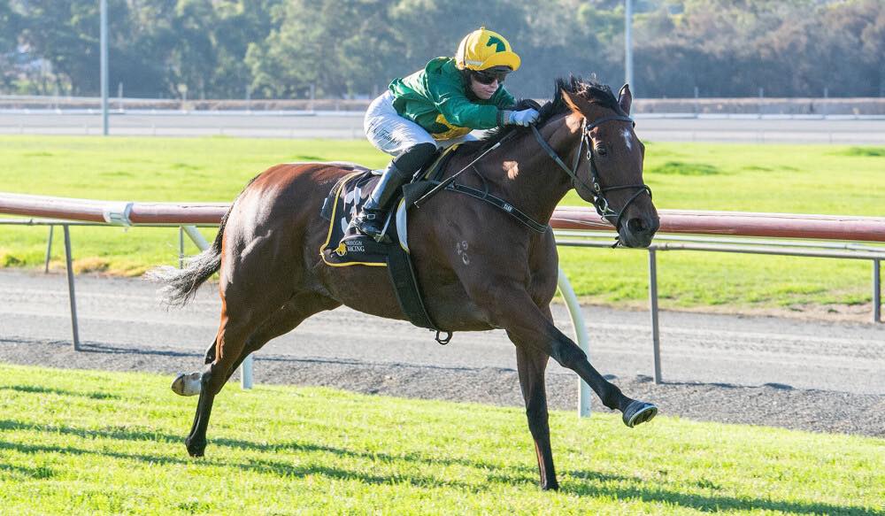 Yarradale mare in pole position for Provincial Final