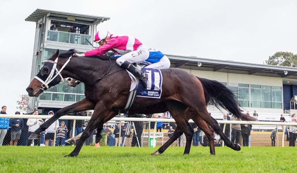 Opportunity knocks in Raconteur Stakes