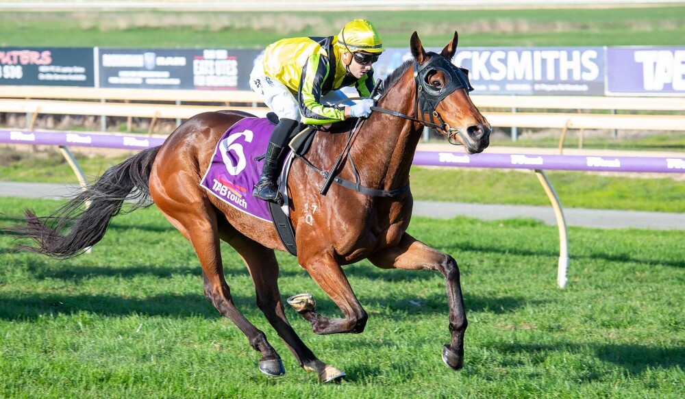 Repeater on a hat-trick for Geisel Park