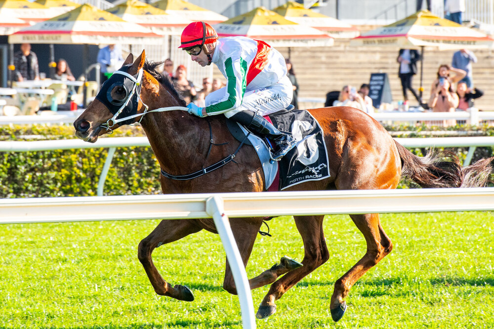 Belmont black-type trifecta by Gingerbread Man