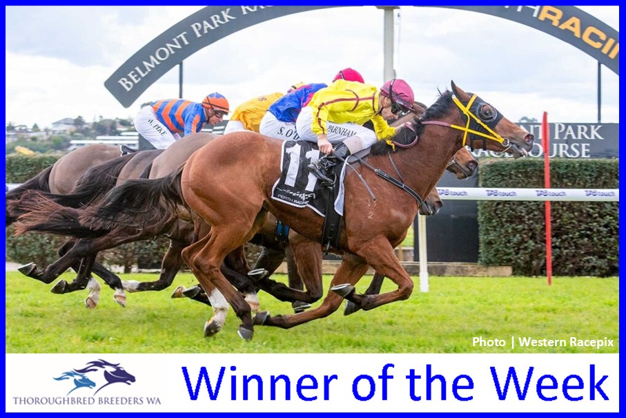 Saam Time Lucky – TBWA Winner of the Week