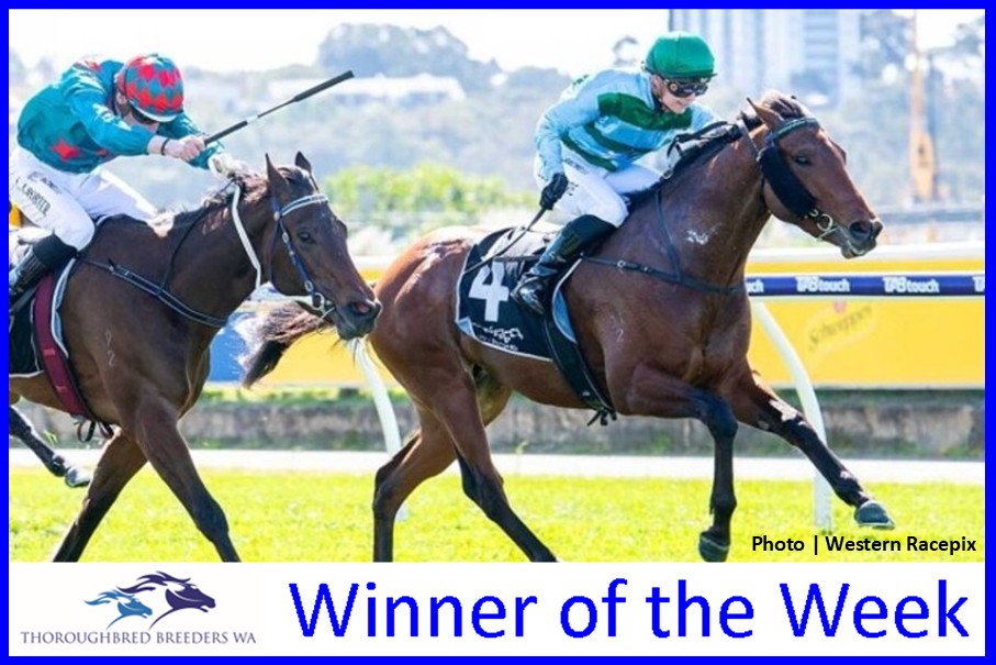 Hasani – TBWA Winner of the Week