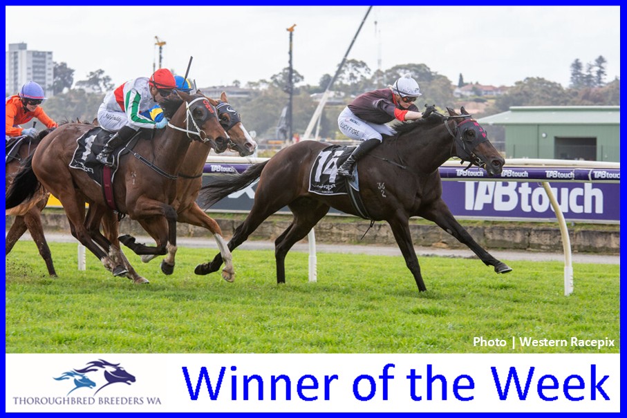 Heeza Phoenix – TBWA Winner of the Week
