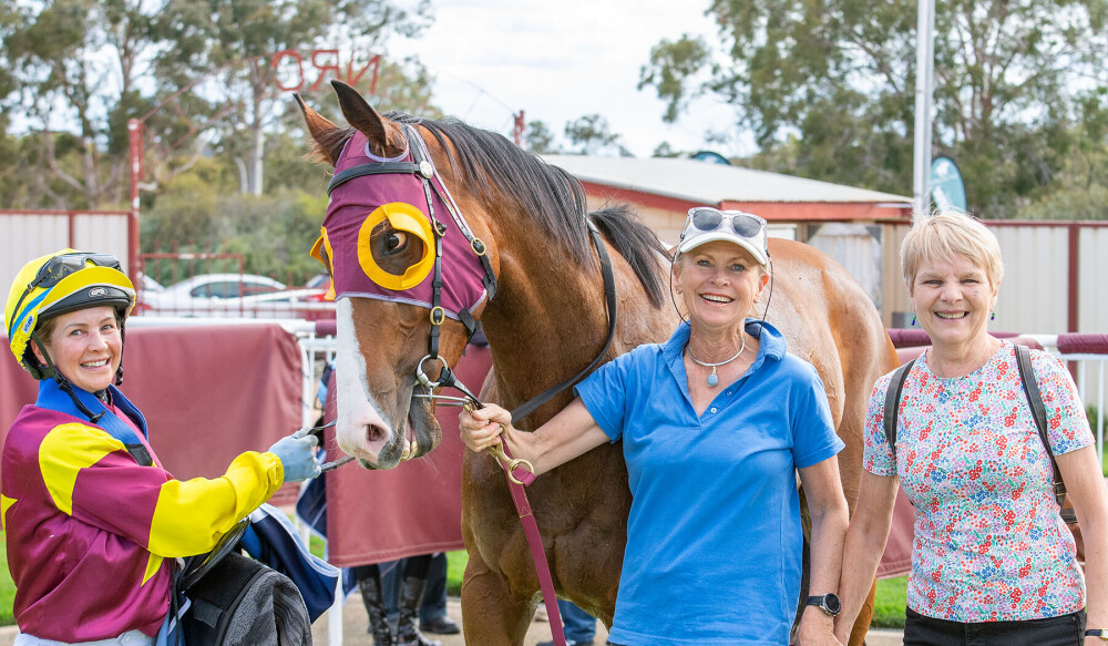 Gingerbread mare a Tonic for Jordans