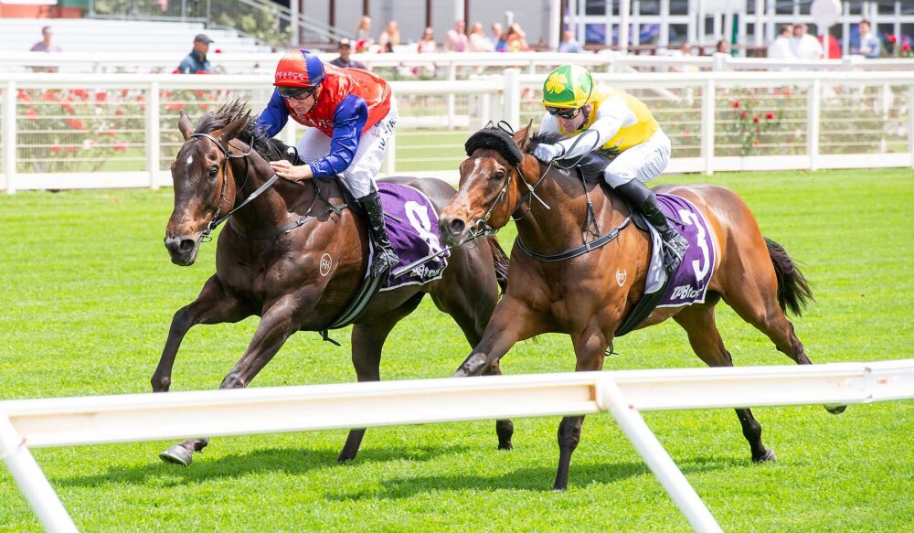 Rainline swoops for Pike and Pearce Racing