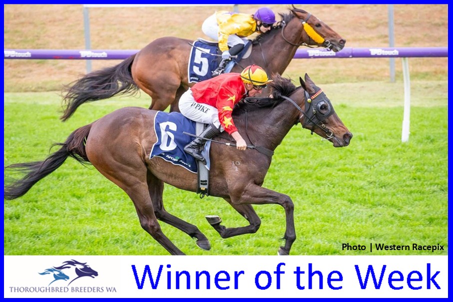 Age Of Grace – TBWA Winner of the Week