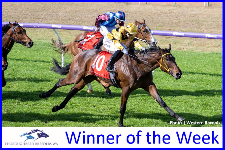 Kazana – TBWA Winner of the Week