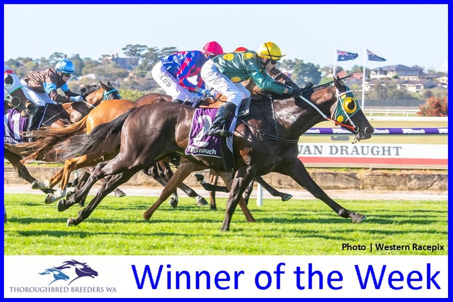 Pure Obsession – TBWA Winner of the Week