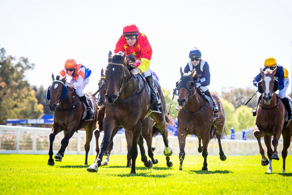 Elite showdown in Placid Ark Stakes