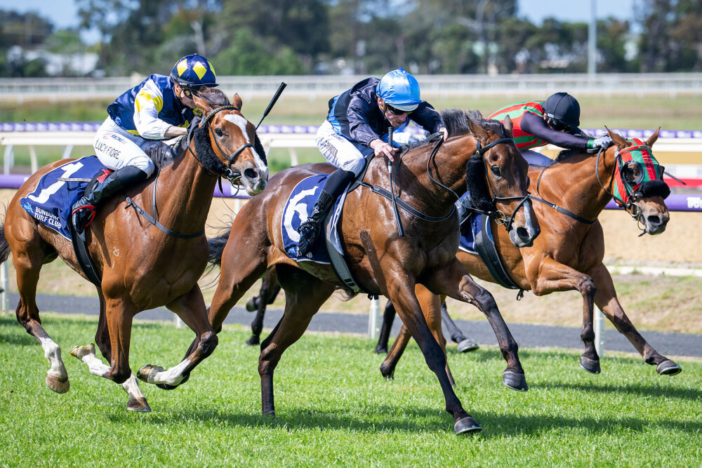 Black-type winners in waiting for Namerik