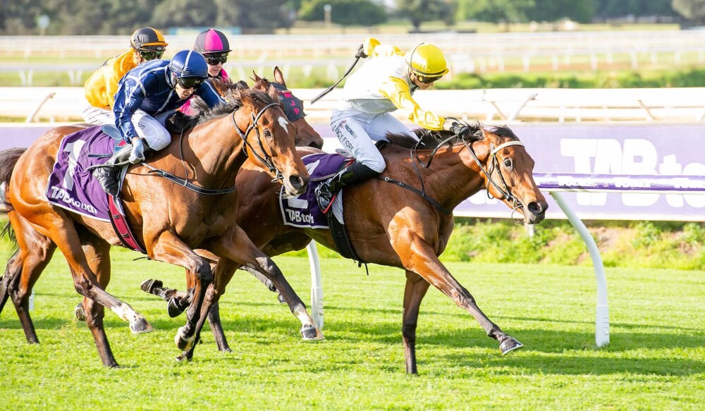 Playing God sires 24th Stakes winner on Cup Day