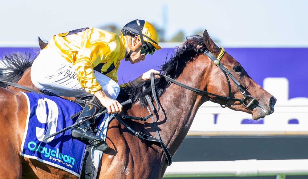 Pure Excess exceptional in Champion Fillies