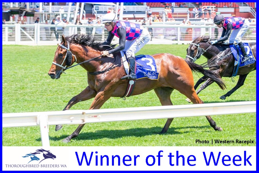 Beatty – TBWA Winner of the Week