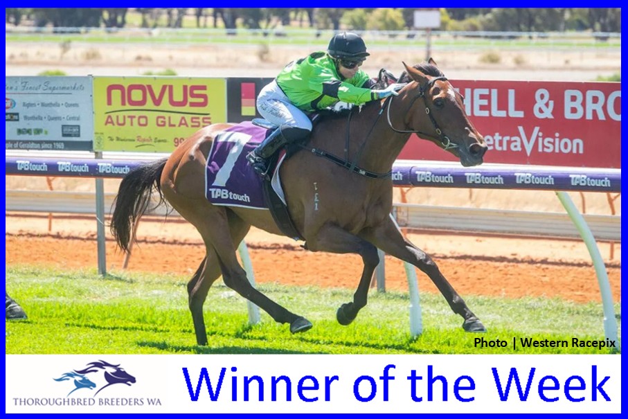 God’s Grin – TBWA Winner of the Week